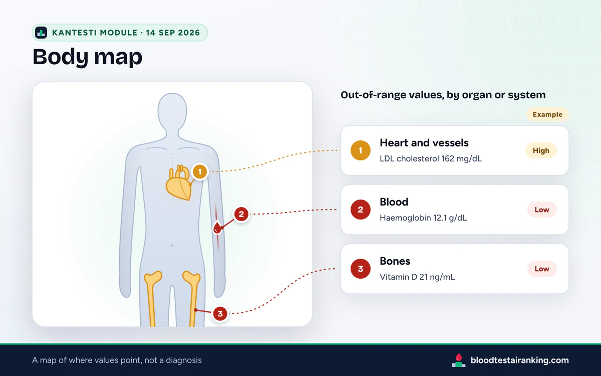 Body map example: silhouette with the heart, a blood drop on an elbow vein and both thigh bones, numbered 1 to 3 in a legend