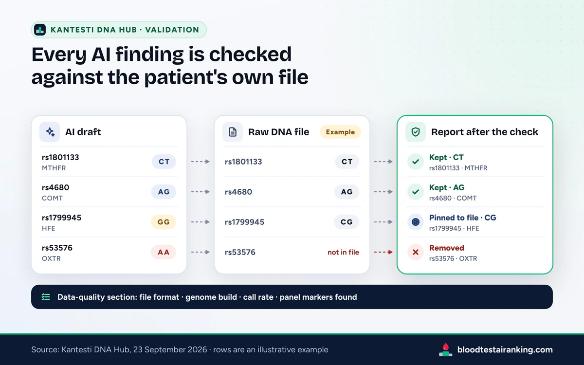 Three columns, AI draft, raw DNA file and checked report, where one finding is kept, one pinned to the file and one removed